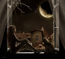 Фотография Ковалевой Екатерины