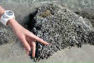 Фотография Kuznetsova Antonina