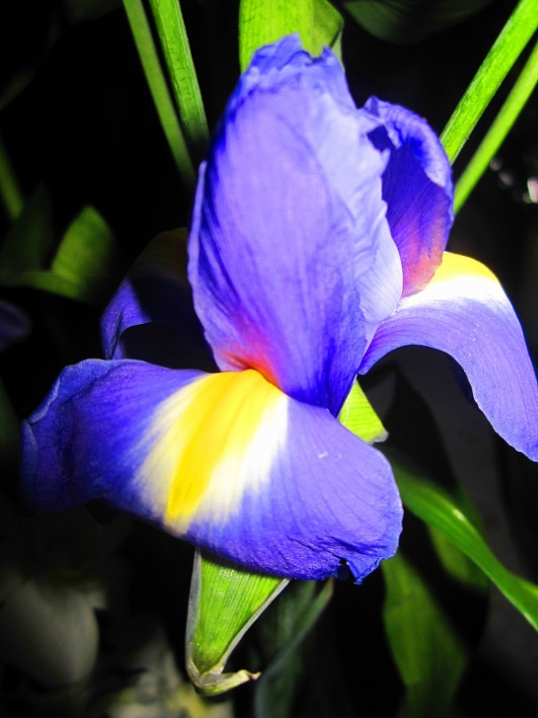 Ольга Гребенникова фотография #34