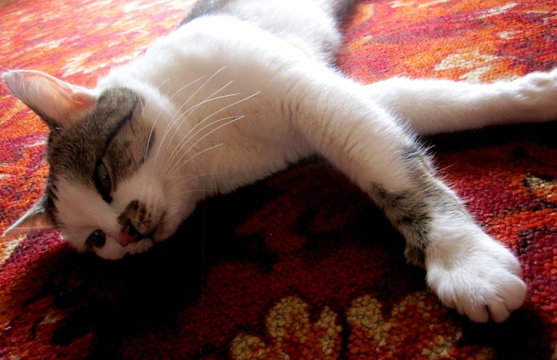 Ольга Гребенникова фотография #32