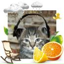 Alex Fox фотография #44 (источник - https://vk.com/id40662)