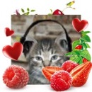 Alex Fox фотография #25 (источник - https://vk.com/id40662)