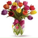 Наталія Павлович фотография #11 (источник - https://vk.com/id8597745)