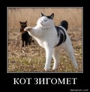 Κирилл Εфимов фотография #10 (источник - https://vk.com/id15202757)