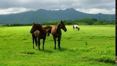 Лєнчік Стельмах фотография #26 (источник - https://vk.com/id143672004)