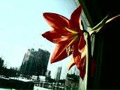 Рушан Абдрахимов фотография #5 (источник - https://vk.com/id3045767)