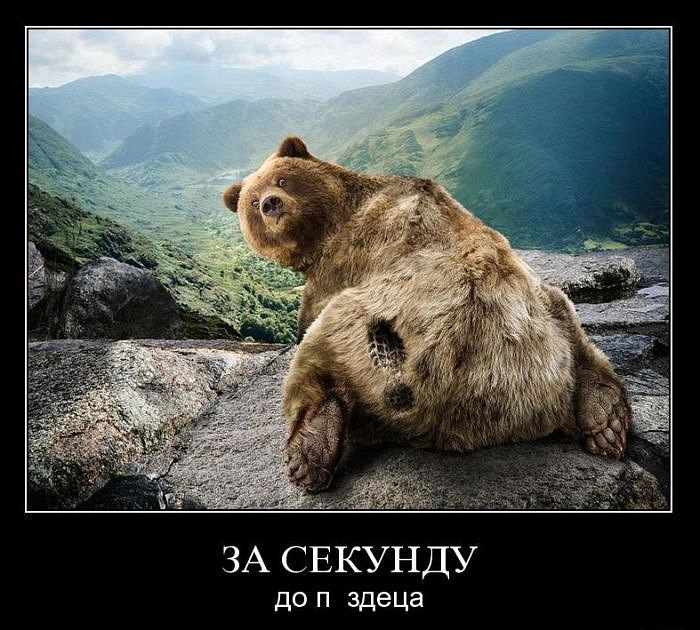 Дмитрий Иванченко фотография #2