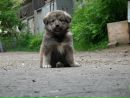 Фотография П Оксаны