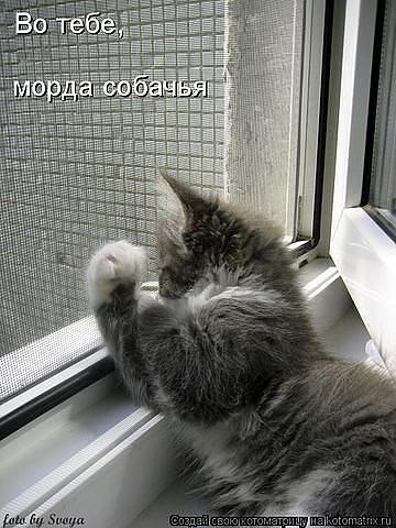 №3, Никита Шевченко, Саратов, Россия №3, Никита Шевченко, Саратов, Россия