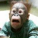 Фотография Невского Александра