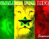 Фотография Sambe Ndiaga