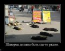 Игорь Темник фотография #39 (источник - https://vk.com/id96615668)