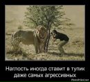 Аліса Alicia фотография #38 (источник - https://vk.com/id150982389)