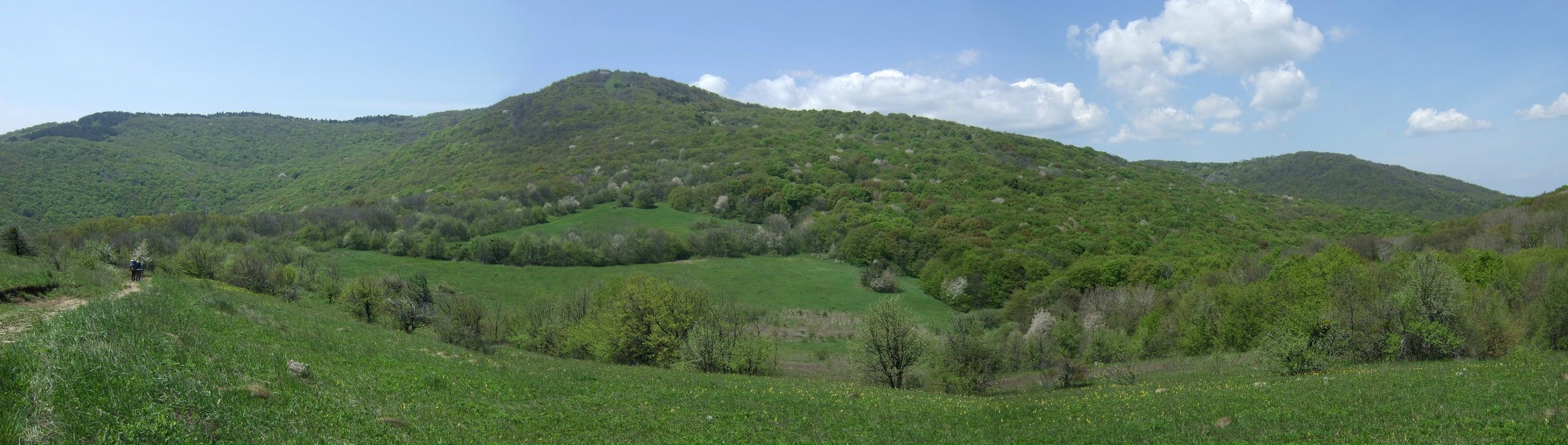 Ihawk Ihawk фотография #29