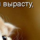 Діма Стоцький фотография #44 (источник - https://vk.com/id78186447)