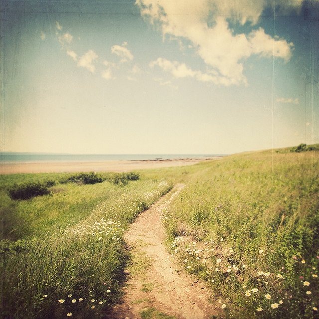 An Anda фотография #28