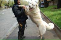 Фотография Ахмедова Рауля