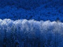 Євген Папа фотография #5 (источник - https://vk.com/id125824335)