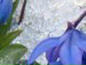 Лєна Прокопчук фотография #4 (источник - https://vk.com/id58488523)