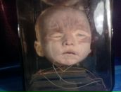 Фотография Снисаренко Александра