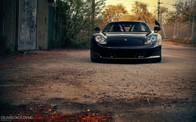 Дмитрий Иванов фотография #30