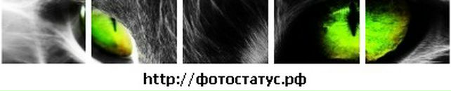 Андрій Зуб фотография #47 (источник - https://vk.com/id73145114)