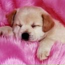 Світлана Щербак фотография #1