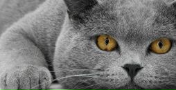 Димитрій Silipina фотография #31 (источник - https://vk.com/id8844920)