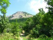 Олексій Підлубний фотография #31 (источник - https://vk.com/id13157390)