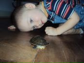 Ірина Лiсова фотография #20 (источник - https://vk.com/id73632541)