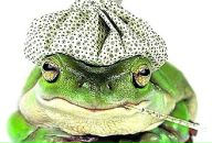 Фотография Беловой Екатерины