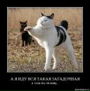 Фотография Устюжаниновой Алены