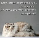 Фотография Орловой Марины