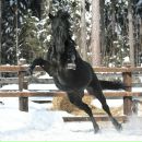 ♦ĐÃ®•Ķ ♦ фотография #14 (источник - https://vk.com/id134963660)