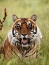 Сергій Патрашко фотография #7 (источник - https://vk.com/id103889068)