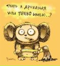 Фотография Кряжева Кирилла
