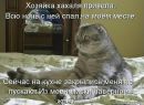 Вадим Гуленко фотография #26 (источник - https://vk.com/id141972089)