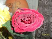 Фотография Крутиковой Анастасии