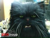 Фотография Анниной Екатерины