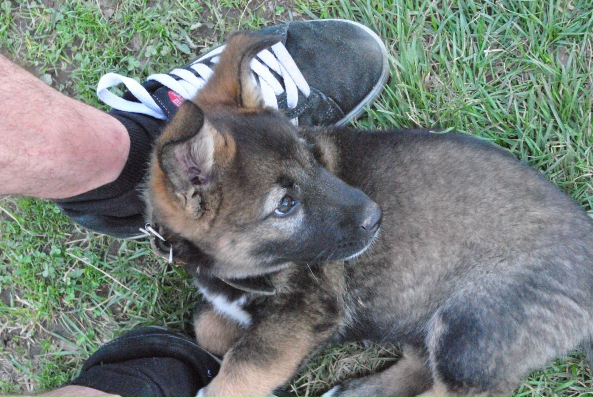 Юрий Сандырев фотография #49