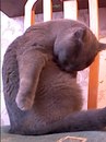 Даша Ларина фотография #5 (источник - https://vk.com/id140570919)