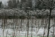 Никита Кобелев фотография #28 (источник - https://vk.com/id2127952)