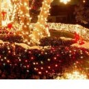 Ляля :) фотография #19 (источник - https://vk.com/id154056135)