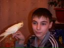 Андрій Сиволап фотография #43 (источник - https://vk.com/id92342704)