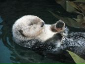 Фотография Селюнин Даниил