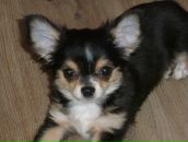 Фотография Васильевой Ирины