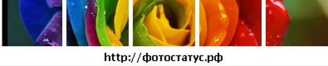 Александра Шептунова фотография #8 (источник - https://vk.com/id33539186)