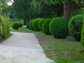 Ірина Циб фотография #42 (источник - https://vk.com/id5897012)