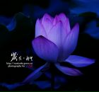 Фотография Макарова Андрея