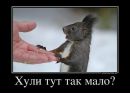 Фотография Кристольского Андрея